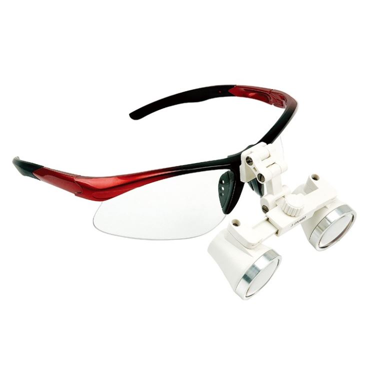 GL6 Dental Magnifier loupes